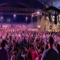 New Wine festival