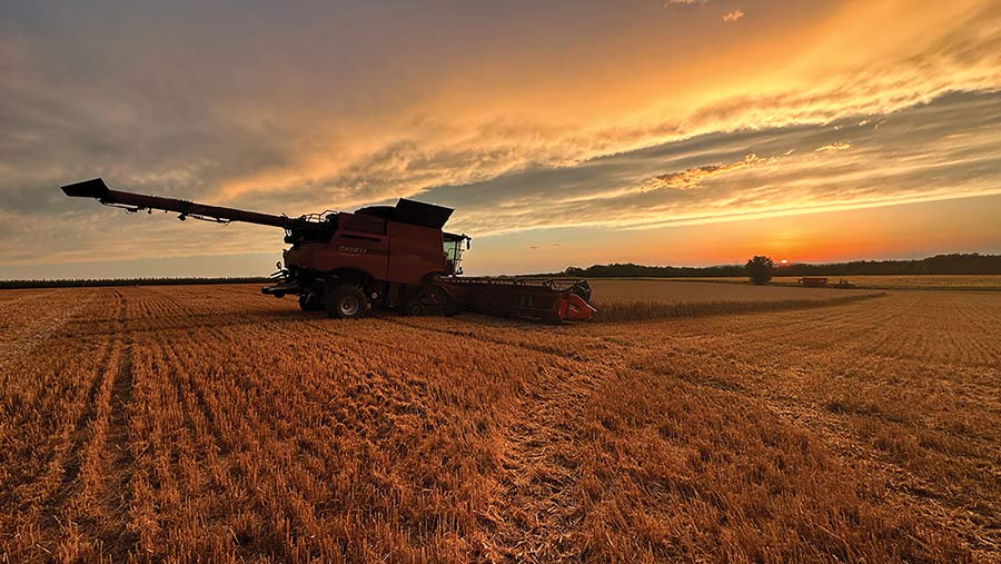 Harvest Supper